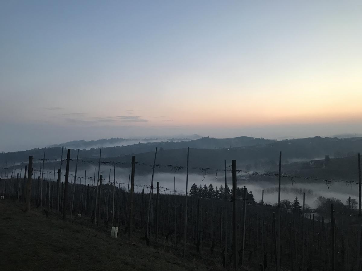 Locanda Rabaya' Barbaresco Ngoại thất bức ảnh